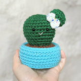 Crochet Cactus Plant Pattern, Amigurumi Houseplant Cactus Plushes, Easy Beginner Patterns