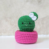 Crochet Cactus Plant Pattern, Amigurumi Houseplant Cactus Plushes, Easy Beginner Patterns