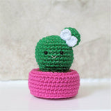 Crochet Cactus Plant Pattern, Amigurumi Houseplant Cactus Plushes, Easy Beginner Patterns