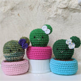 Crochet Cactus Plant Pattern, Amigurumi Houseplant Cactus Plushes, Easy Beginner Patterns