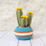 Crochet Cactus Plant Pattern, Amigurumi Houseplant Cactus Plushes, Easy Beginner Patterns