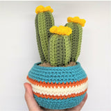 Crochet Cactus Plant Pattern, Amigurumi Houseplant Cactus Plushes, Easy Beginner Patterns