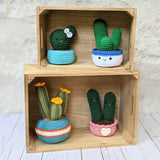 CROCHET PATTERN: Cactus Trio