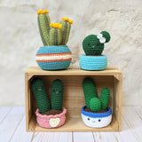 CROCHET PATTERN: Ball Cactus