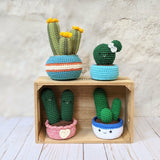 CROCHET PATTERN PACK: Cozy Fall Cactus, Ball Cactus, Cactus Trio, Love Cactus