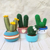 CROCHET PATTERN: Cozy Fall Cactus